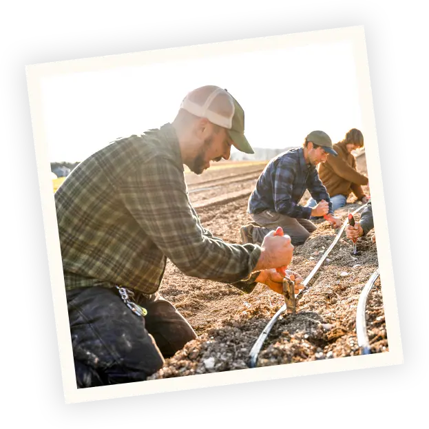 Farm Like the World Depends on it