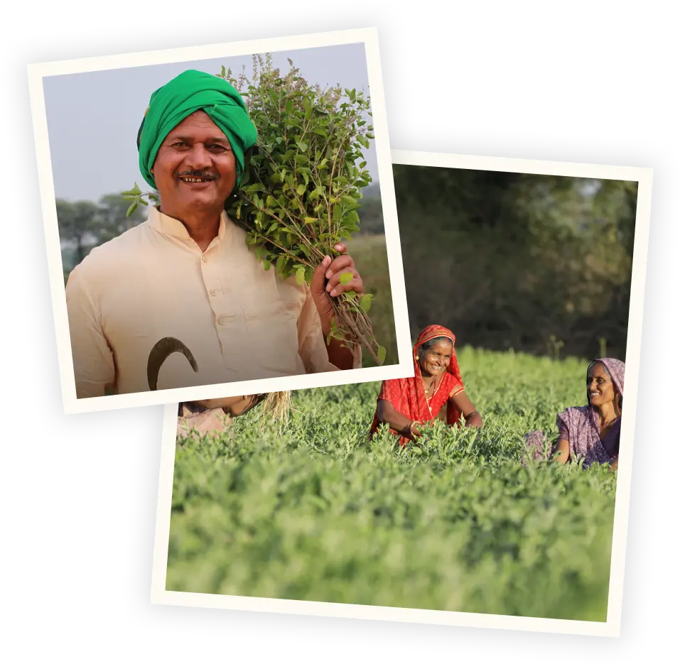 Farm Like the World Depends on it