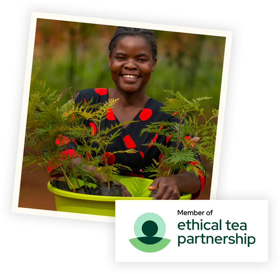 Working in Partnership
